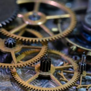 Gear