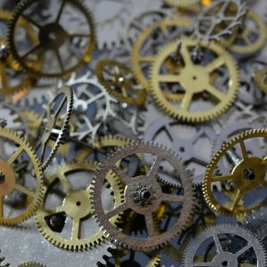 Gear